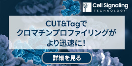 Cell Signaling Technology