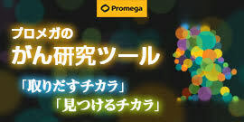 promega